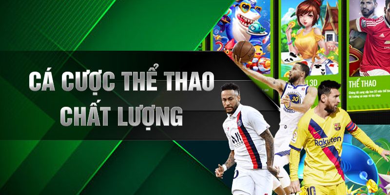 Tìm hiểu về sảnh cược được nhiều sự ưa chuộng